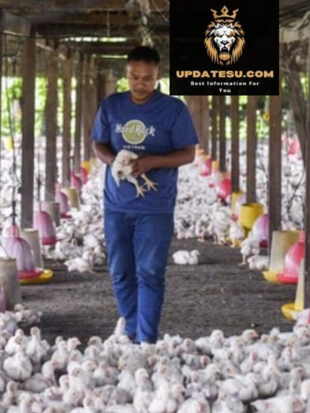 Entry-Level Poultry Jobs: No Exp,