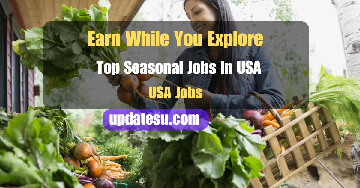 Earn While You Explore: Top Seasonal Jobs in the USA (2024)