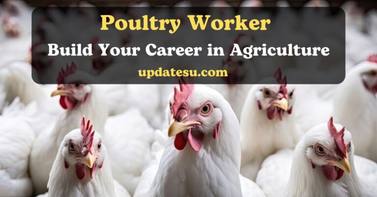 Poultry Worker Jobs Australia 2024: Rewarding Career in Egg Production!