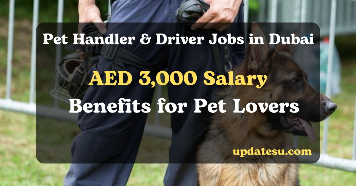 Pet Handler & Driver Jobs in Dubai 2024: AED 3,000 Salary & Benefits for Pet Lovers