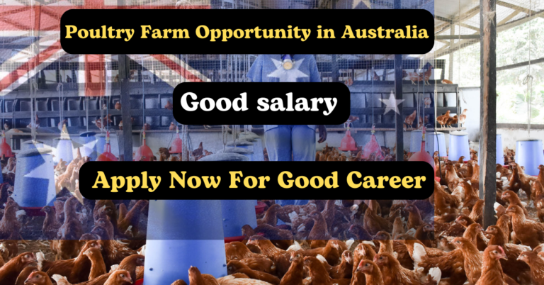 Exciting Poultry Farm Opportunity in Australia in 2024: Apply Now