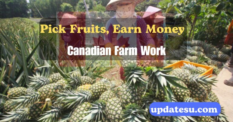 Pick Fruits, Earn Money: Canadian Farm Work in 2024