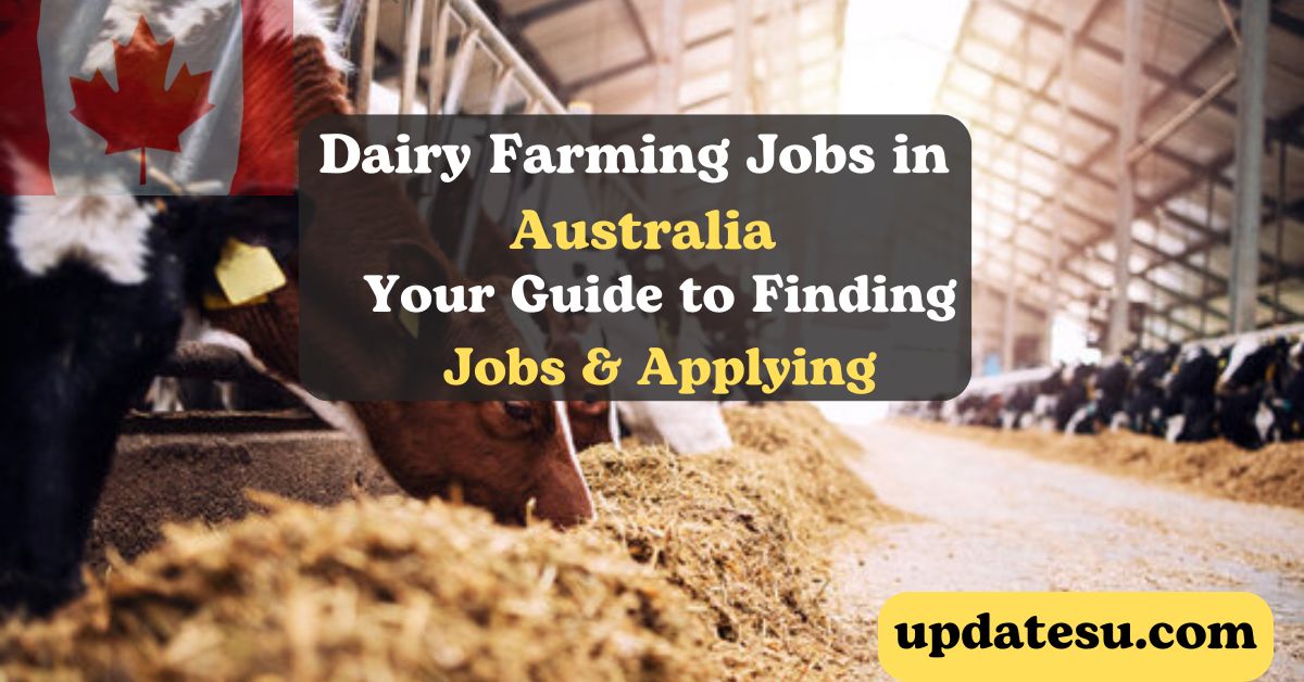 Dairy Farming Jobs in Australia 2024: Your Guide to Opportunities