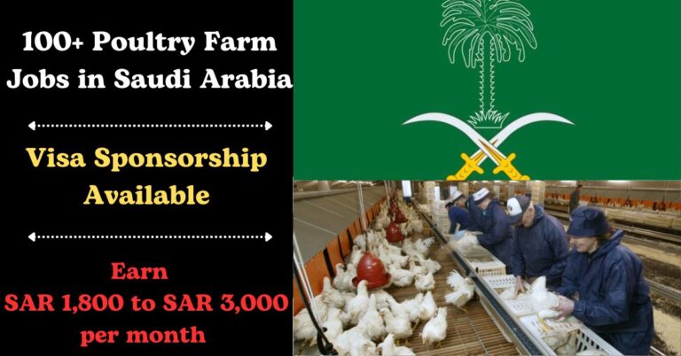 100+ Visa Sponsorship Poultry Farm Jobs in Saudi Arabia