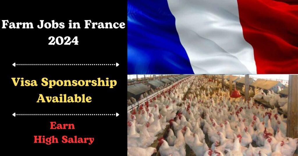 Farm Jobs in France with Visa Sponsorship: Your Complete Guide to Work ...