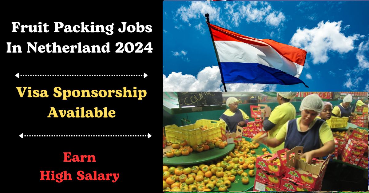 Netherlands Visa Sponsorship for Fruit Packing Jobs 2024