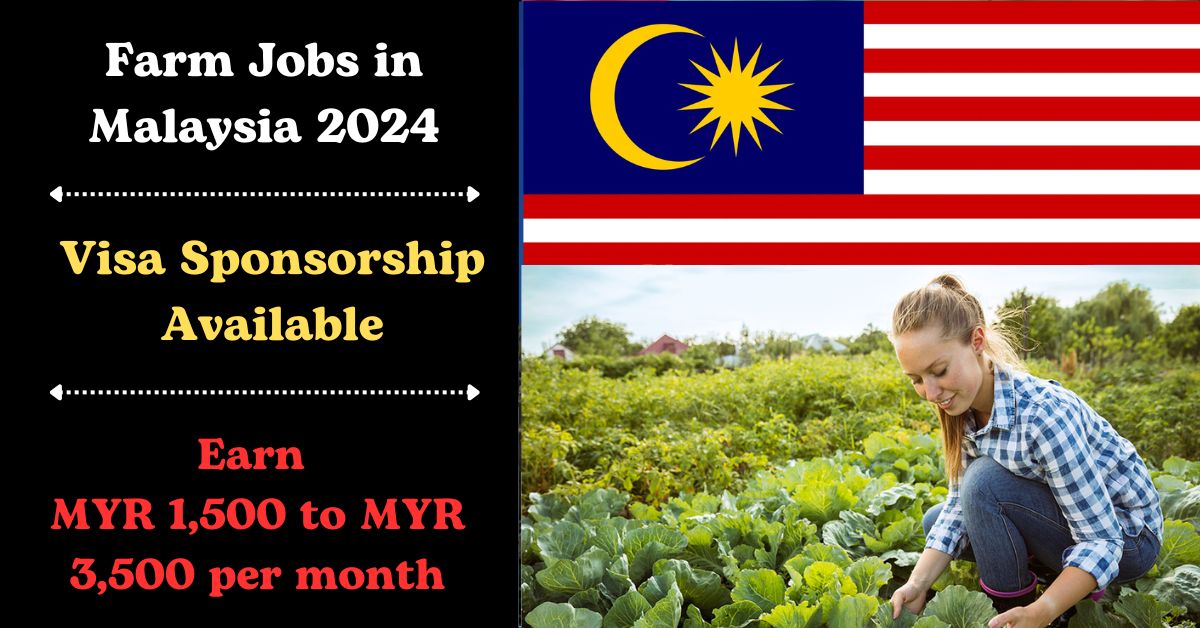 Visa Sponsorship Farm Jobs in Malaysia 2024