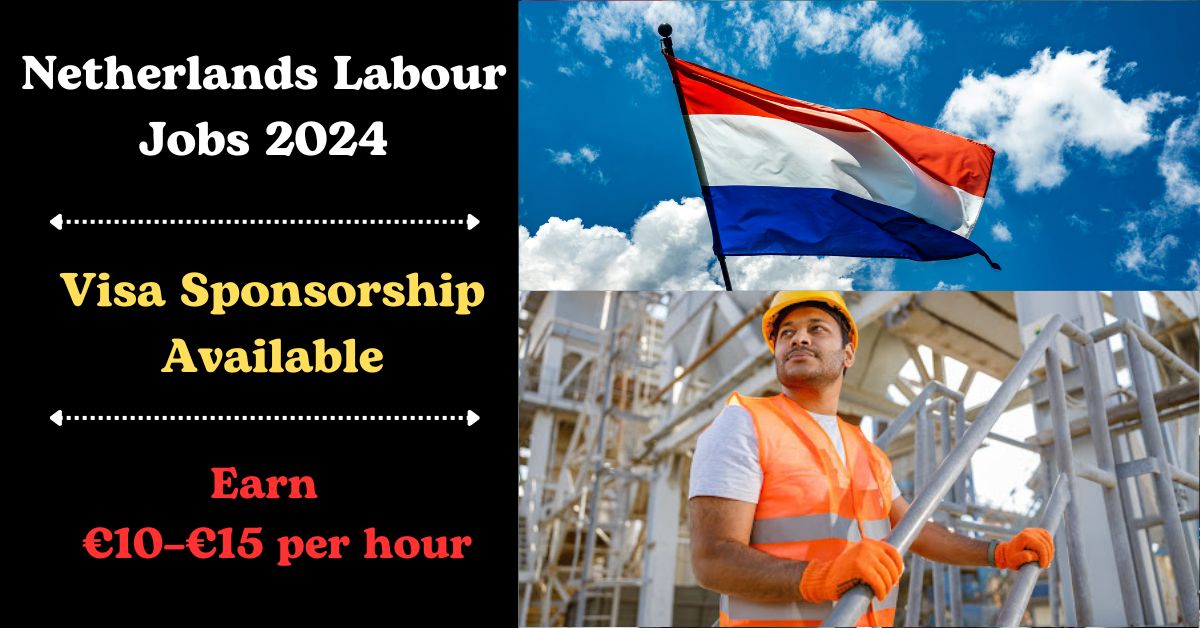 Netherlands Visa Sponsorship Labour Jobs 2024