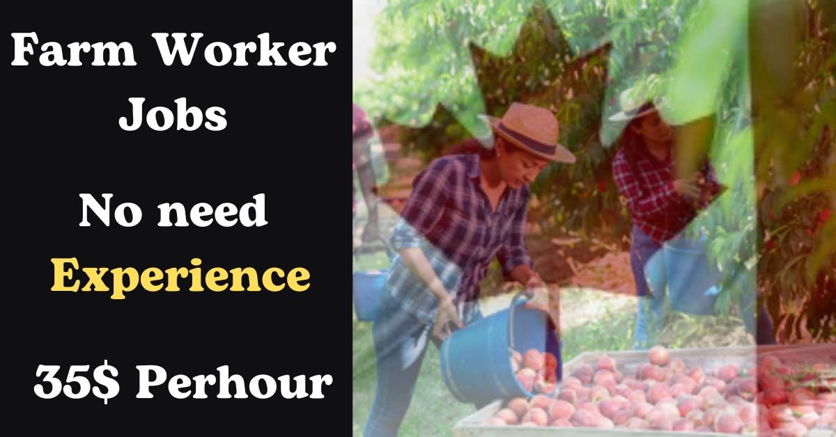 Exciting Farm Worker Jobs in Canada 2025: Seasonal Opportunities with Full Training