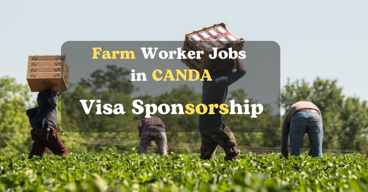 Farm Worker Jobs in Canada with Visa Sponsorship 2025 – No Experience or Education Required