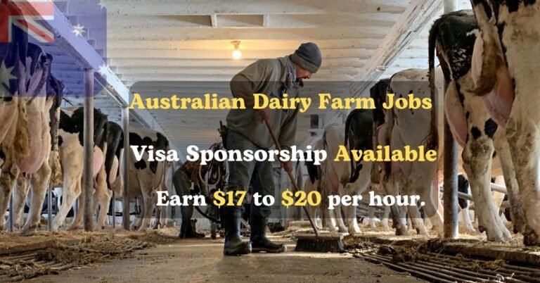 Australian Dairy Farm Jobs 2025: Visa Sponsorship Available! Care for Cows & Earn Well